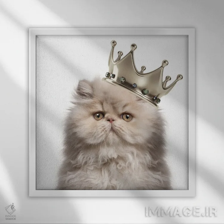 تابلو ملکه گربه ایرانی اثر هدر گری - نمای قابدار سفید