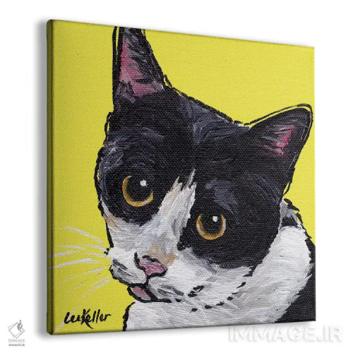تابلو گربه توکسیدو (دو رنگ) اثر هیپی هاوند استودیوز (استودیو هنری) - نمای پرسپکتیو محصول