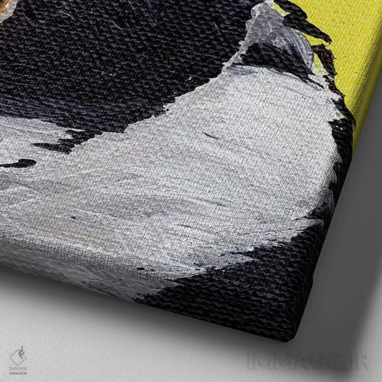 تابلو گربه توکسیدو (دو رنگ) اثر هیپی هاوند استودیوز (استودیو هنری) - نمای نزدیک بافت بوم