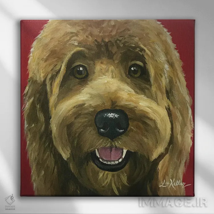 تابلو نیکی گلدندودل اثر هیپی هاوند استودیوز (استودیو هنری) - نمای روبهرو روی دیوار