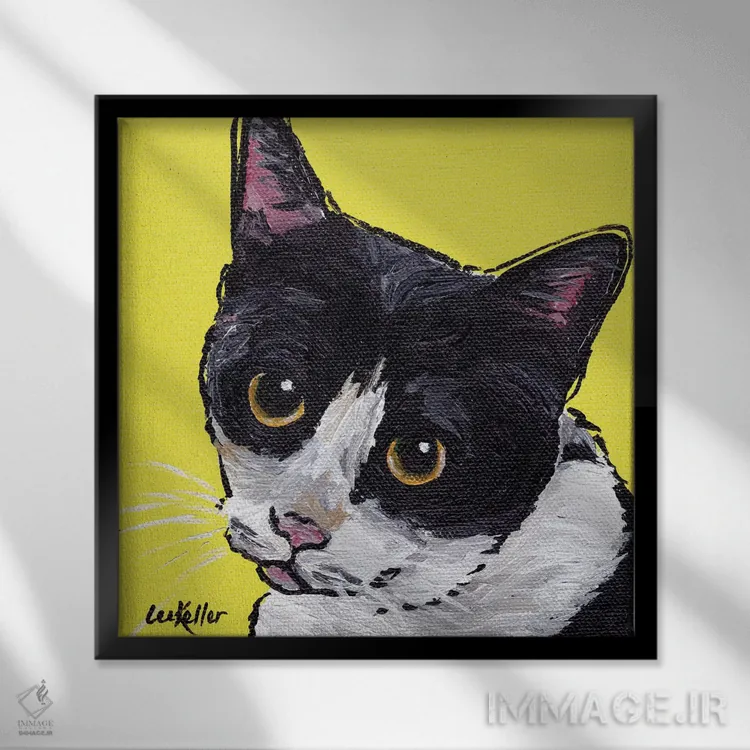 تابلو گربه توکسیدو (دو رنگ) اثر هیپی هاوند استودیوز (استودیو هنری) - نمای قابدار مشکی
