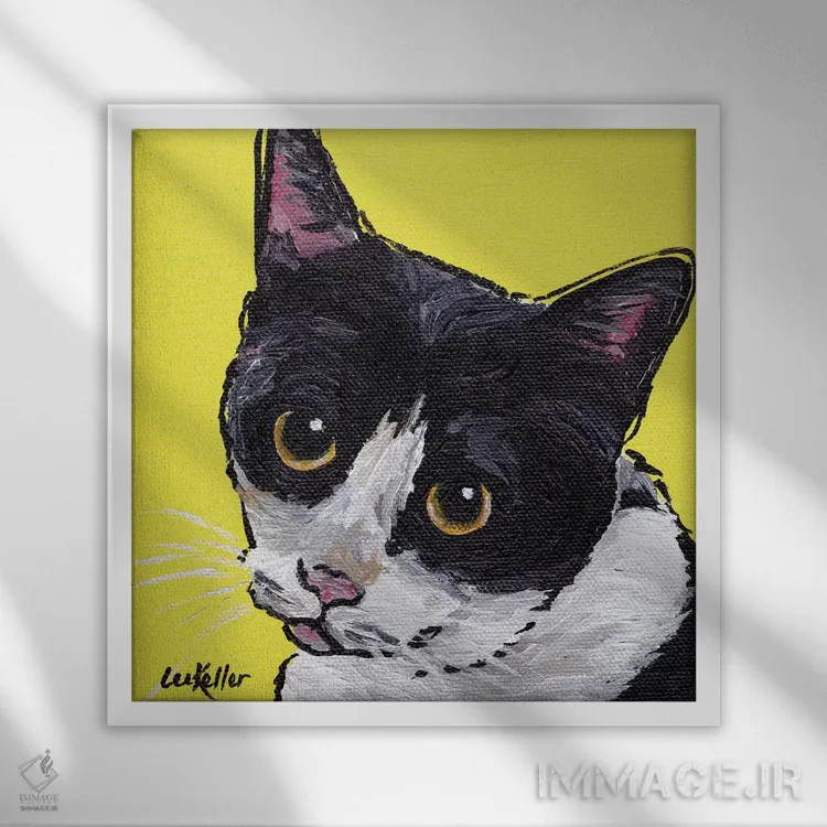 تابلو گربه توکسیدو (دو رنگ) اثر هیپی هاوند استودیوز (استودیو هنری) - نمای قابدار سفید
