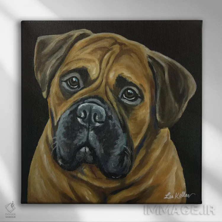 تابلو بول ماستیف (نژاد سگ) اثر هیپی هاوند استودیوز (استودیو هنری) - نمای روبهرو روی دیوار
