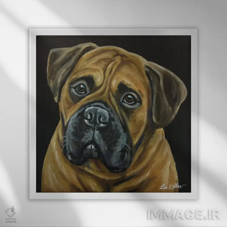 تابلو بول ماستیف (نژاد سگ) اثر هیپی هاوند استودیوز (استودیو هنری) - نمای قابدار سفید