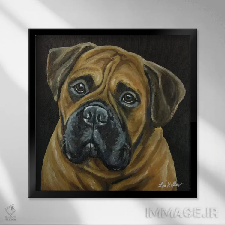 تابلو بول ماستیف (نژاد سگ) اثر هیپی هاوند استودیوز (استودیو هنری) - نمای قابدار مشکی