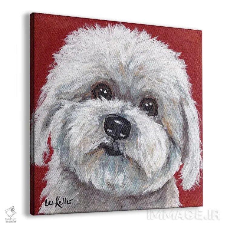 تابلو کوتون دو تولیار (نژاد سگ) اثر هیپی هاوند استودیوز (استودیو هنری) - نمای پرسپکتیو محصول