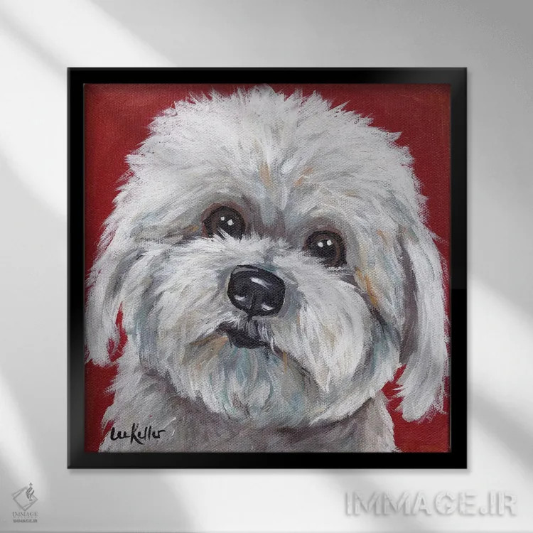 تابلو کوتون دو تولیار (نژاد سگ) اثر هیپی هاوند استودیوز (استودیو هنری) - نمای قابدار مشکی
