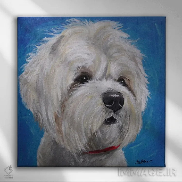 تابلو میکس مالتیز و شیتزو اثر هیپی هاوند استودیوز (استودیو هنری) - نمای روبهرو روی دیوار