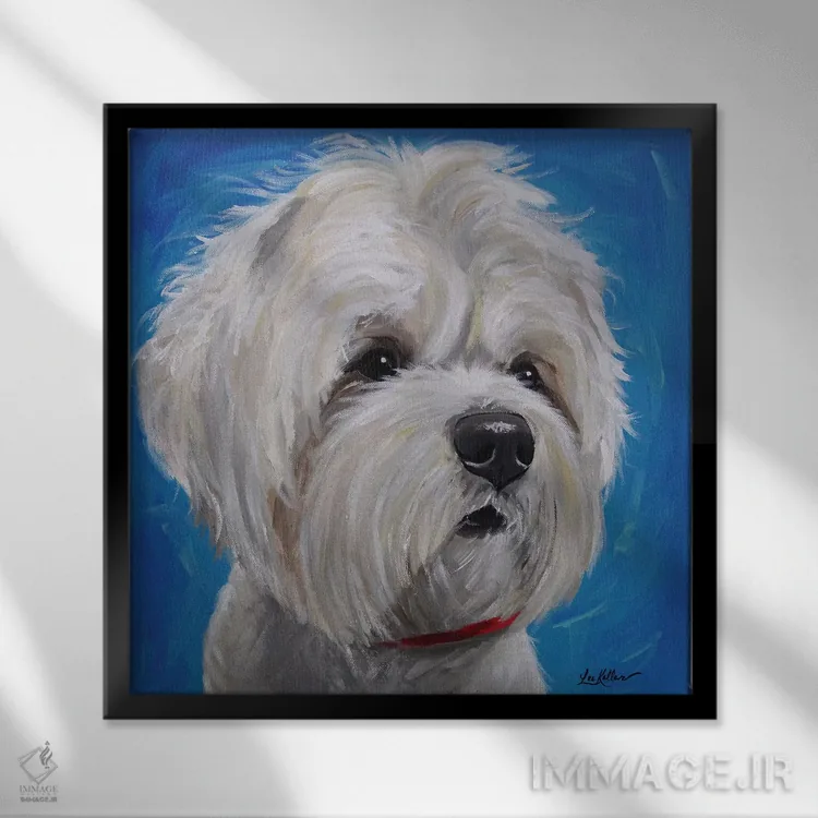 تابلو میکس مالتیز و شیتزو اثر هیپی هاوند استودیوز (استودیو هنری) - نمای قابدار مشکی