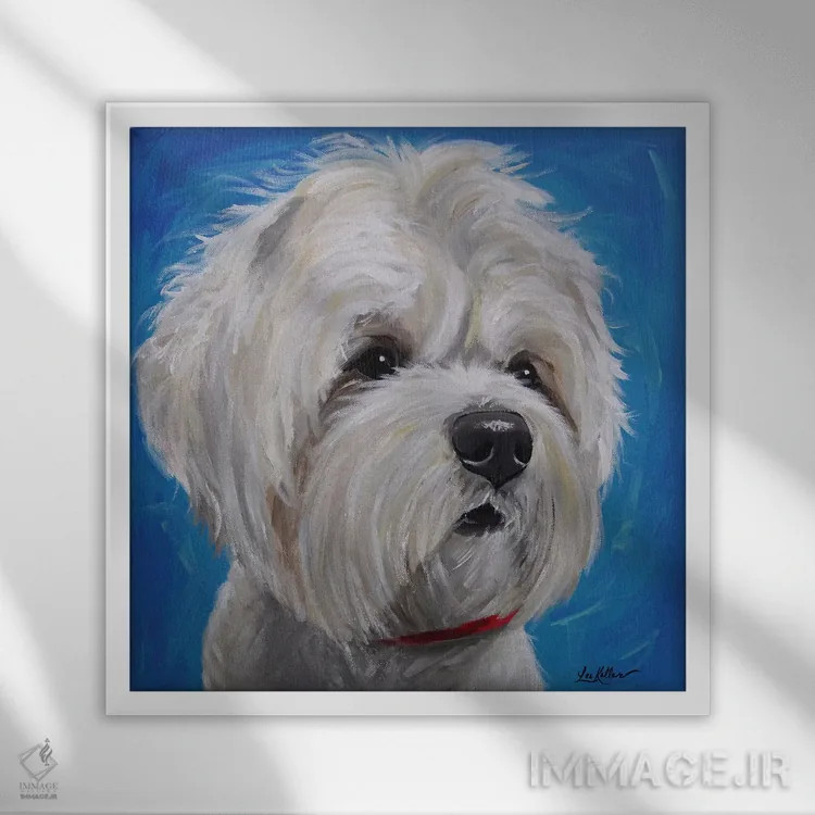 تابلو میکس مالتیز و شیتزو اثر هیپی هاوند استودیوز (استودیو هنری) - نمای قابدار سفید