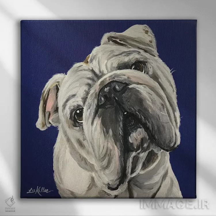 تابلو بولداگ انگلیسی روی آبی اثر هیپی هاوند استودیوز (استودیو هنری) - نمای روبهرو روی دیوار