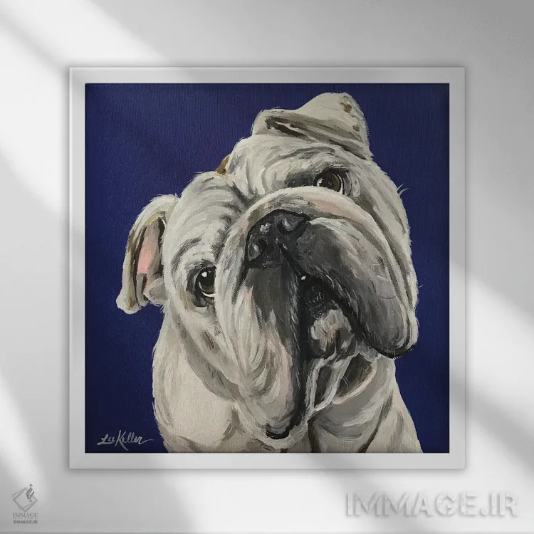 تابلو بولداگ انگلیسی روی آبی اثر هیپی هاوند استودیوز (استودیو هنری) - نمای قابدار سفید