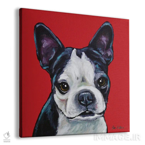 تابلو بوستون تریر (سگ نژاد) اثر هیپی هاوند استودیوز (استودیو هنری) - نمای پرسپکتیو محصول