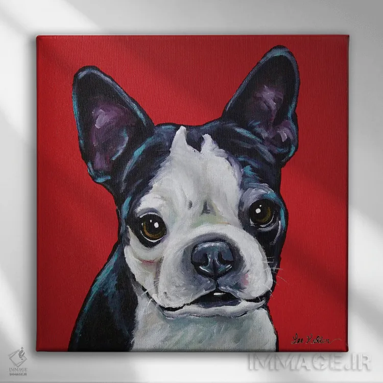 تابلو بوستون تریر (سگ نژاد) اثر هیپی هاوند استودیوز (استودیو هنری) - نمای روبهرو روی دیوار