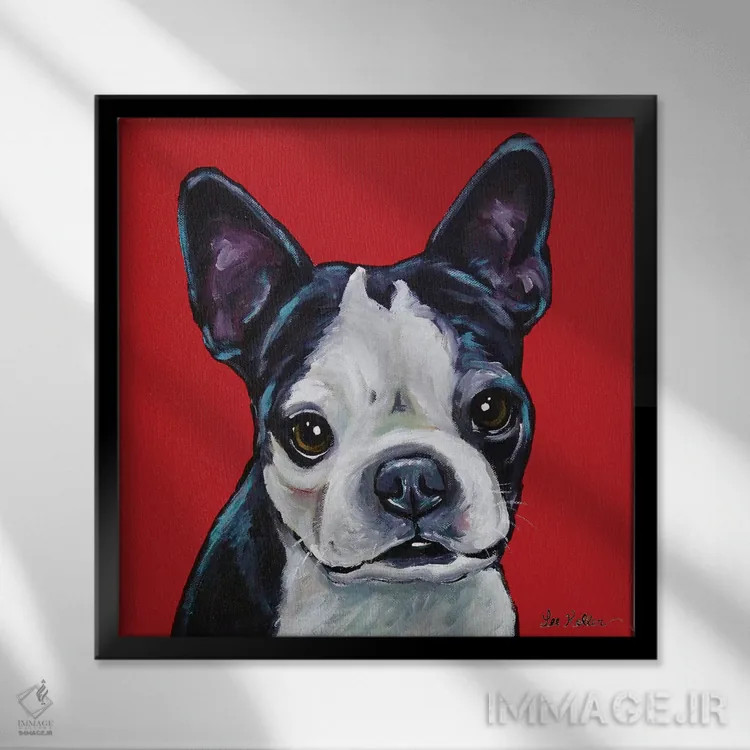 تابلو بوستون تریر (سگ نژاد) اثر هیپی هاوند استودیوز (استودیو هنری) - نمای قابدار مشکی