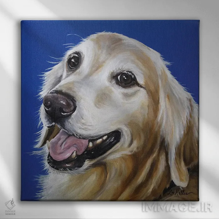 تابلو گلدن رتریور (سگ نژاد) اثر هیپی هاوند استودیوز (استودیو هنری) - نمای روبهرو روی دیوار