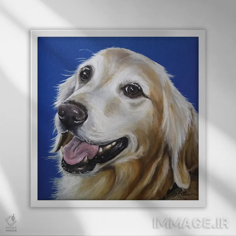 تابلو گلدن رتریور (سگ نژاد) اثر هیپی هاوند استودیوز (استودیو هنری) - نمای قابدار سفید