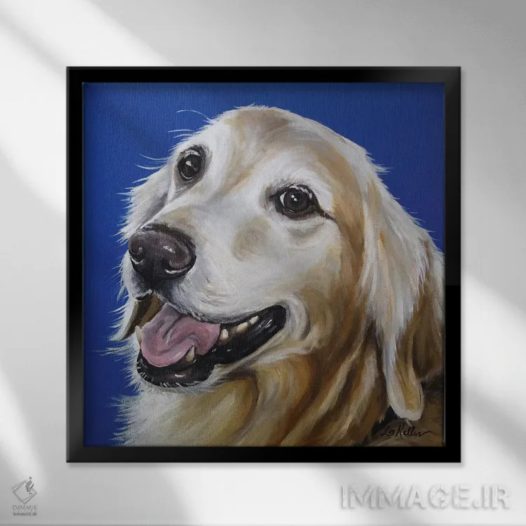 تابلو گلدن رتریور (سگ نژاد) اثر هیپی هاوند استودیوز (استودیو هنری) - نمای قابدار مشکی