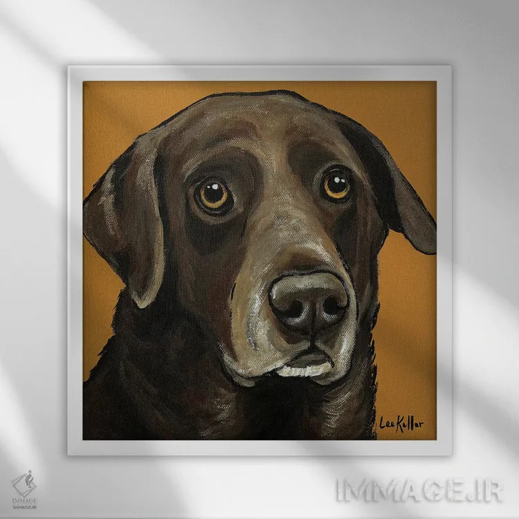 تابلو لابرادور قهوهای روی زمینه طلایی اثر هیپی هاوند استودیوز (استودیو هنری) - نمای قابدار سفید