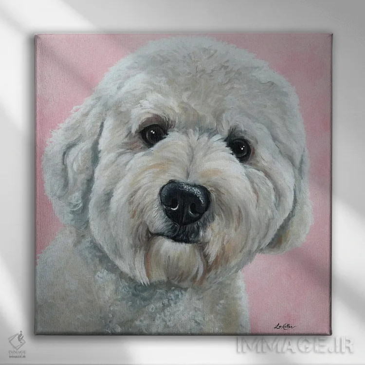 تابلو هنک گلدندودل اثر هیپی هاوند استودیوز (استودیو هنری) - نمای روبهرو روی دیوار