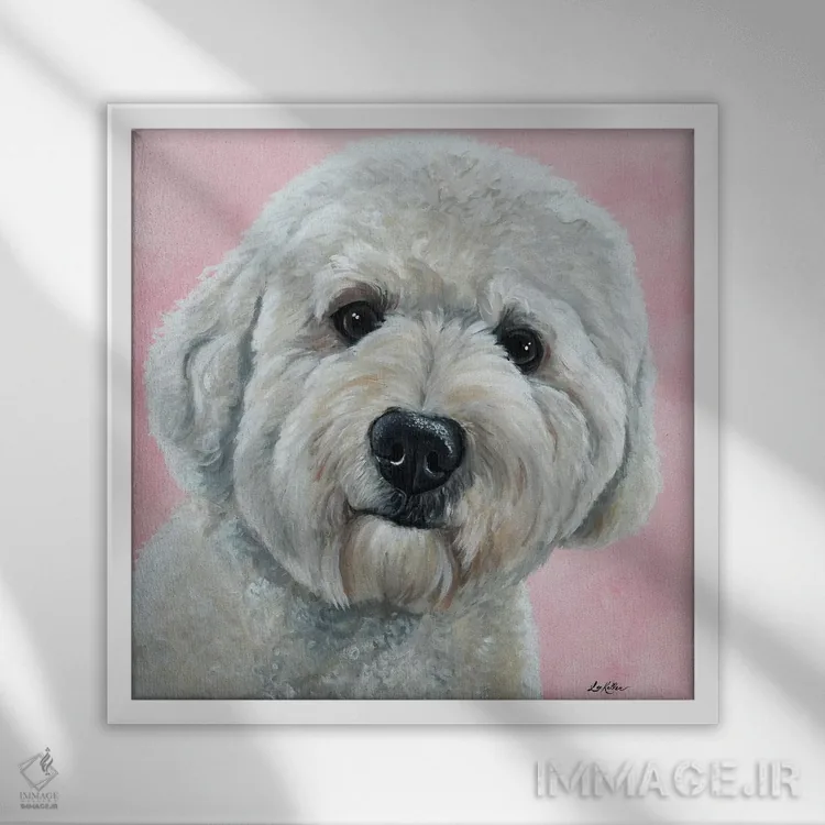 تابلو هنک گلدندودل اثر هیپی هاوند استودیوز (استودیو هنری) - نمای قابدار سفید