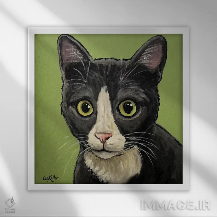 تابلو گربه تاکسیدوی خاکستری اثر هیپی هاوند استودیوز (استودیو هنری) - نمای قابدار سفید