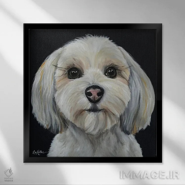 تابلو ساگان هاوانز روی زمینه مشکی اثر هیپی هاوند استودیوز (استودیو هنری) - نمای قابدار مشکی