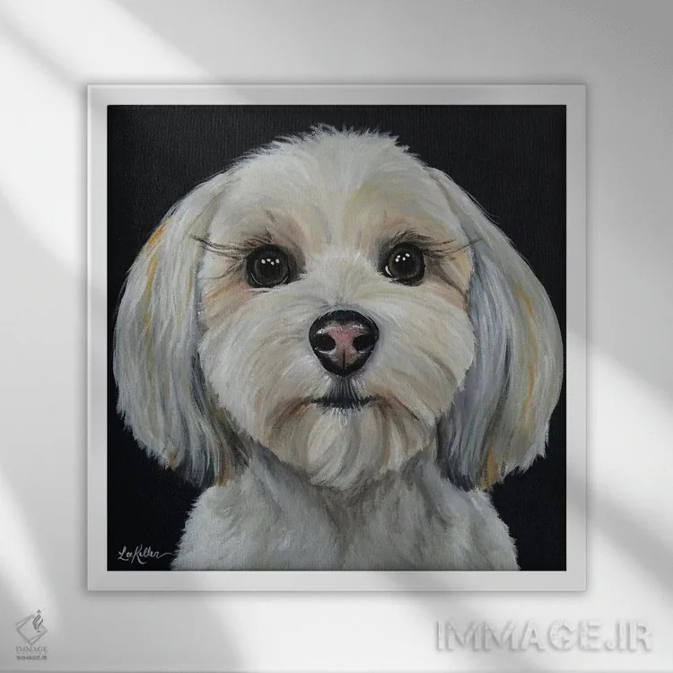 تابلو ساگان هاوانز روی زمینه مشکی اثر هیپی هاوند استودیوز (استودیو هنری) - نمای قابدار سفید