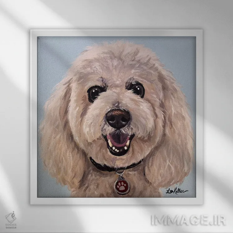 تابلو پودل روی زمینه آبی روشن اثر هیپی هاوند استودیوز (استودیو هنری) - نمای قابدار سفید