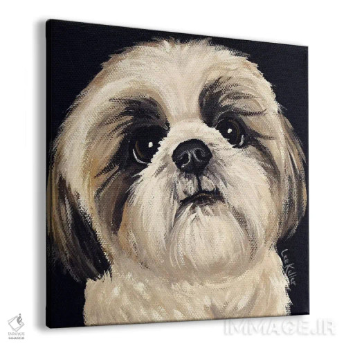 تابلو شیهتزو روی زمینه مشکی I اثر هیپی هاوند استودیوز (استودیو هنری) - نمای پرسپکتیو محصول