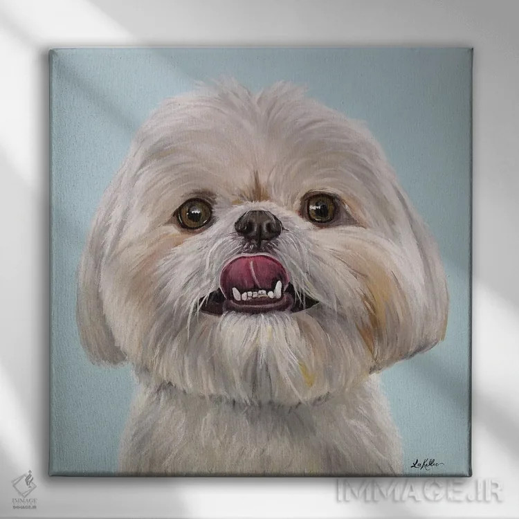 تابلو ریبآی شیه تزو اثر هیپی هاوند استودیوز (استودیو هنری) - نمای روبهرو روی دیوار