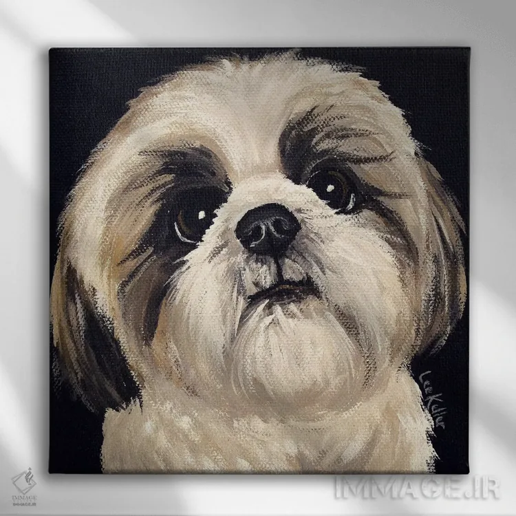 تابلو شیهتزو روی زمینه مشکی I اثر هیپی هاوند استودیوز (استودیو هنری) - نمای روبهرو روی دیوار