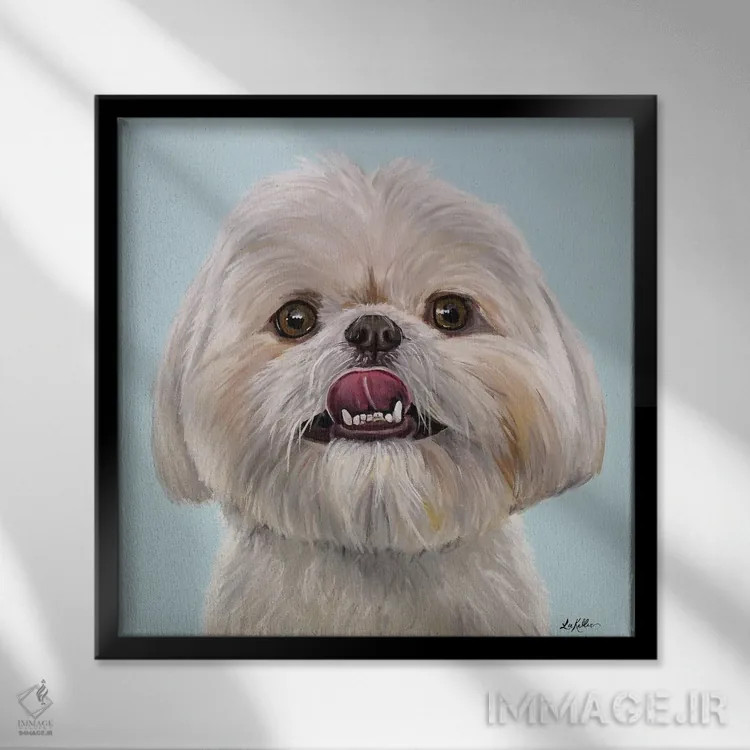 تابلو ریبآی شیه تزو اثر هیپی هاوند استودیوز (استودیو هنری) - نمای قابدار مشکی