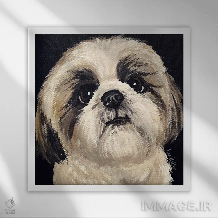 تابلو شیهتزو روی زمینه مشکی I اثر هیپی هاوند استودیوز (استودیو هنری) - نمای قابدار سفید