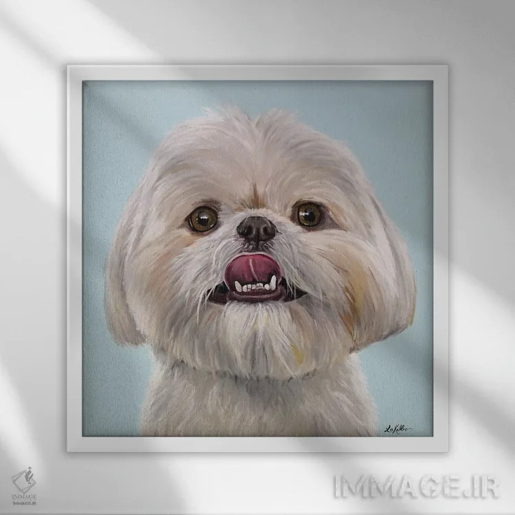 تابلو ریبآی شیه تزو اثر هیپی هاوند استودیوز (استودیو هنری) - نمای قابدار سفید