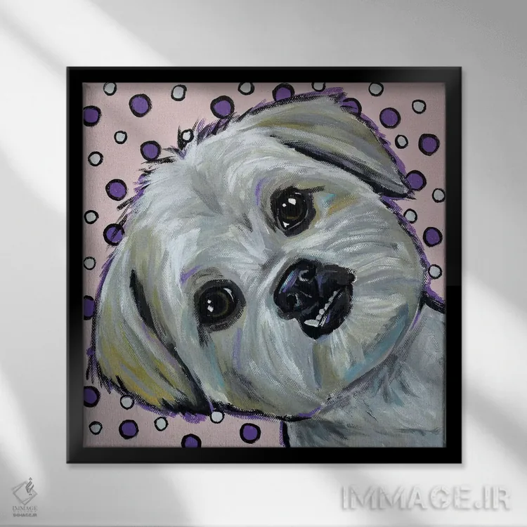 تابلو شیهتزو روی زمینه خالخالی اثر هیپی هاوند استودیوز (استودیو هنری) - نمای قابدار مشکی