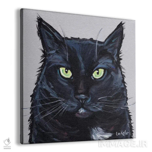 تابلو گربه جسور اثر هیپی هاوند استودیوز (استودیو هنری) - نمای پرسپکتیو محصول