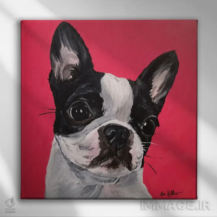 تابلو بوستون تریر ربکا اثر هیپی هاوند استودیوز (استودیو هنری) - نمای روبهرو روی دیوار