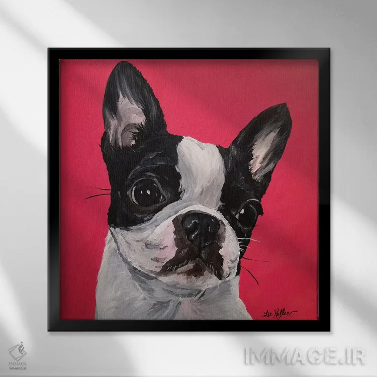 تابلو بوستون تریر ربکا اثر هیپی هاوند استودیوز (استودیو هنری) - نمای قابدار مشکی