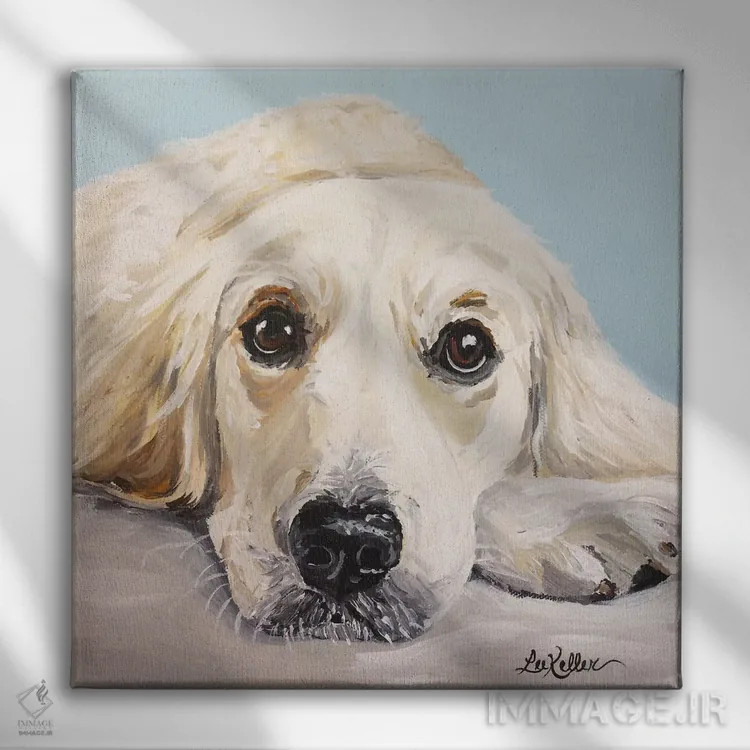 تابلو گلدن رتریور کرم اثر هیپی هاوند استودیوز (استودیو هنری) - نمای روبهرو روی دیوار