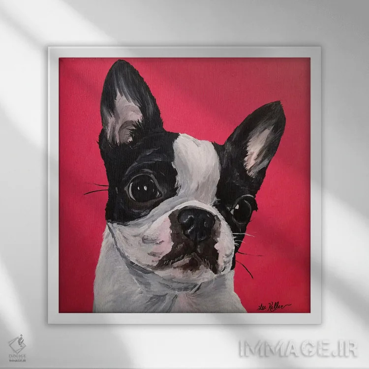 تابلو بوستون تریر ربکا اثر هیپی هاوند استودیوز (استودیو هنری) - نمای قابدار سفید