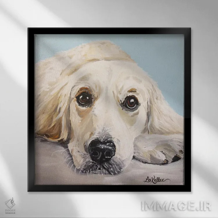 تابلو گلدن رتریور کرم اثر هیپی هاوند استودیوز (استودیو هنری) - نمای قابدار مشکی