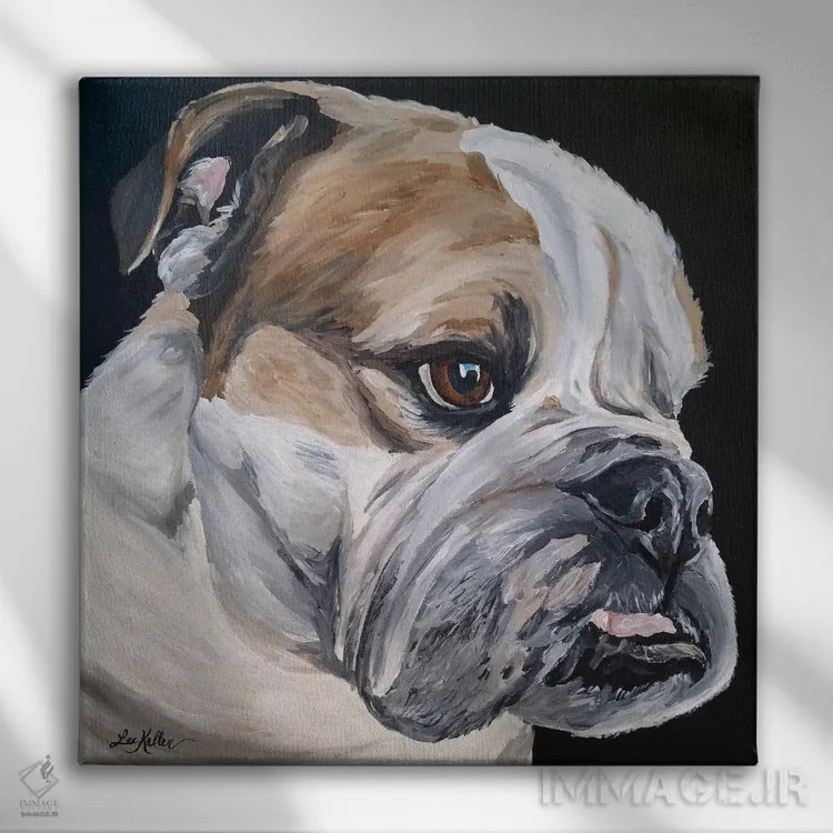 تابلو بولداگ انگلیسی جس اثر هیپی هاوند استودیوز (استودیو هنری) - نمای روبهرو روی دیوار