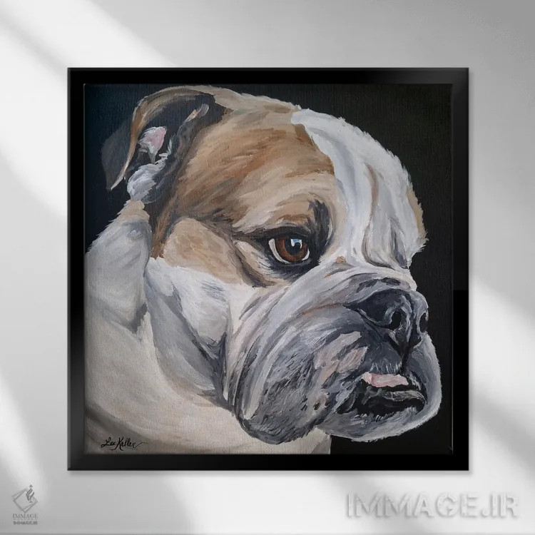 تابلو بولداگ انگلیسی جس اثر هیپی هاوند استودیوز (استودیو هنری) - نمای قابدار مشکی