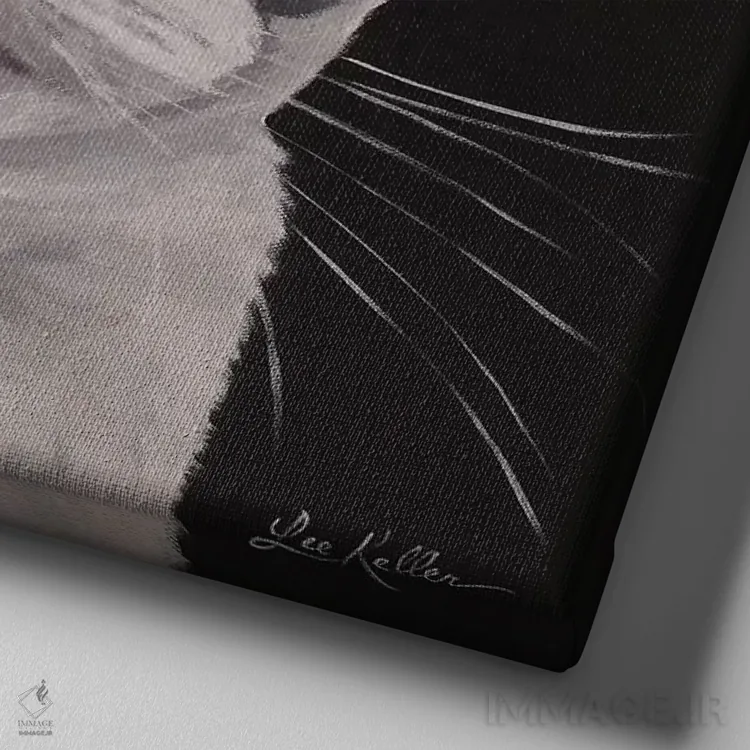 تابلو اشر، گربه تاکسیدوی خاکستری اثر هیپی هاوند استودیوز (استودیو هنری) - نمای نزدیک بافت بوم