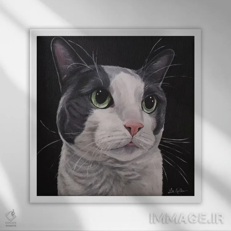 تابلو اشر، گربه تاکسیدوی خاکستری اثر هیپی هاوند استودیوز (استودیو هنری) - نمای قابدار سفید