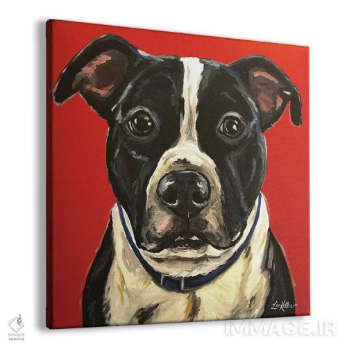 تابلو پیت بول (سگ نژاد) اثر هیپی هاوند استودیوز (استودیو هنری) - نمای پرسپکتیو محصول
