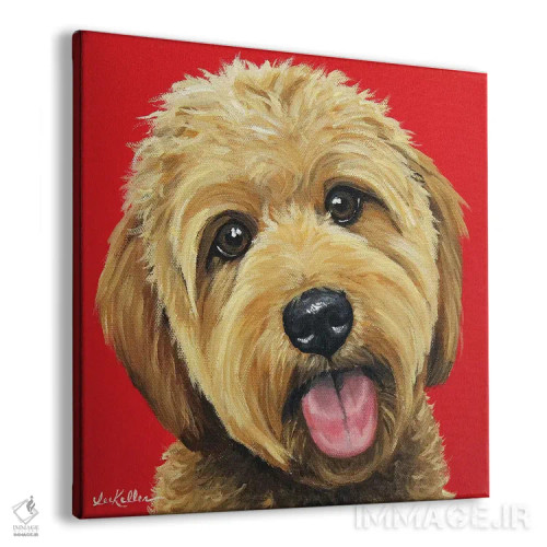 تابلو گلدن دودل زردآلویی روی قرمز اثر هیپی هاوند استودیوز (استودیو هنری) - نمای پرسپکتیو محصول