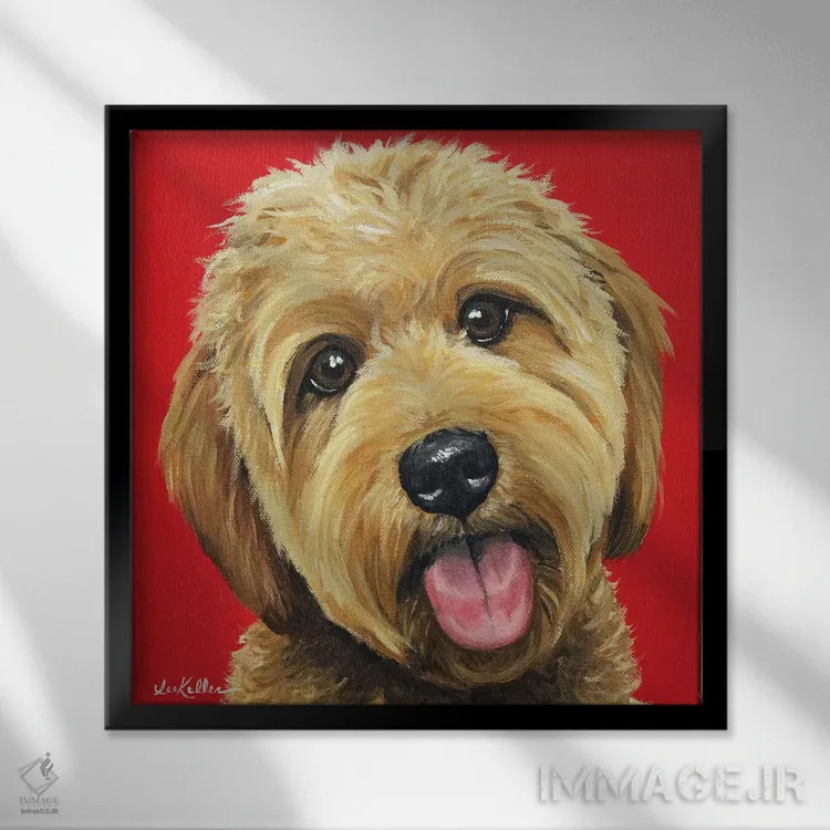 تابلو گلدن دودل زردآلویی روی قرمز اثر هیپی هاوند استودیوز (استودیو هنری) - نمای قابدار مشکی