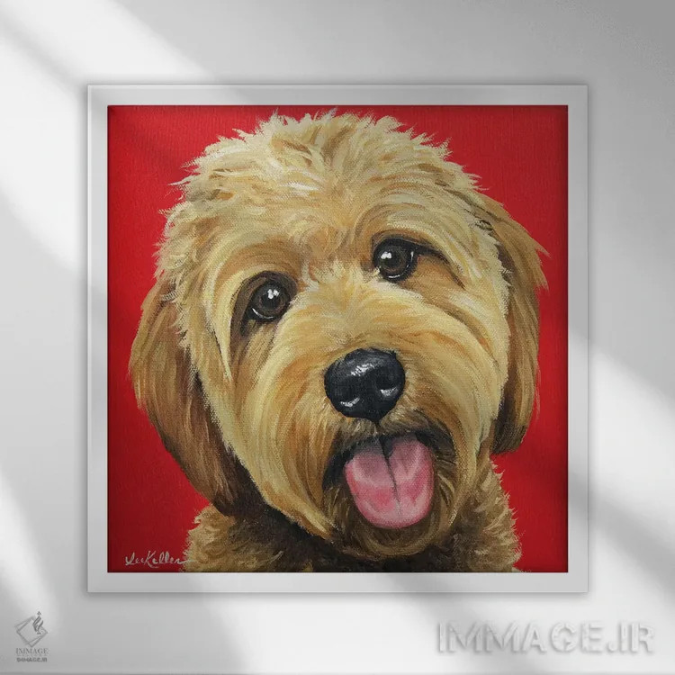 تابلو گلدن دودل زردآلویی روی قرمز اثر هیپی هاوند استودیوز (استودیو هنری) - نمای قابدار سفید